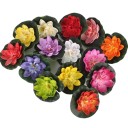 Kunstig åkandeblomst 5 stk. 3