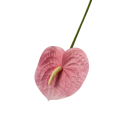 Kunstig dekorativ blomst anthurium 60 cm PU rød realistisk blomsterdekoration til vase til indendørs brug sæt 3 stk 3