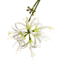 Kunstig dekorativ blomst eksotisk blomst på stilk 60 cm stof og plast til arrangement i vase og indretning af interiør 4