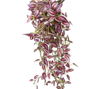 Kunstig hængende tradeskancie 75 cm Vinstok-lignende dekorativ plante med realistiske blade Indendørs dekoration til potte og ophæng 2