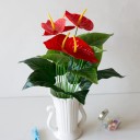 Kunstig Monstera-blomst 5