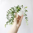 Kunstig plante i en magnetisk potte 4