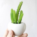 Kunstig plante i en magnetisk potte 6