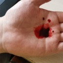 Kunstigt blodflaske 30 ml med pipette 4
