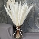 Kunstigt pampasgræs 30 - 45 cm 30 stk. 1