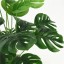 Künstliche Monstera-Blume 4