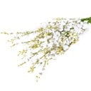 Künstlicher Blumenstrauß Waldhyazinthe 1