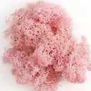 Künstliches buntes Moos, 200 g, dekoratives Moosgras, künstliche grüne Pflanzen, Mini-Landschaft, DIY-Handwerk, Heim- und Gartendekor 6