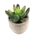 Kunstmatige vetplant in pot C592 5