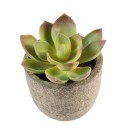 Kunstmatige vetplant in pot C592 6