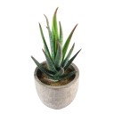 Kunstmatige vetplant in pot C592 7