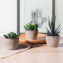 Kunstmatige vetplant in pot C592 2