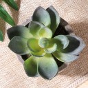 Kunstmatige vetplant in pot C592 3