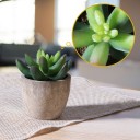 Kunstmatige vetplant in pot C592 4