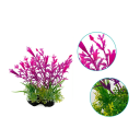 Kunstpflanze für das Aquarium 14 cm Gras aus weichem Kunststoff Realistische Dekoration Wasserpflanze Versteck für Fische Wartungsfreies 2