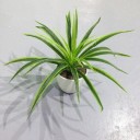 Kunstplant Groen 3