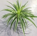 Kunstplant Groen 1