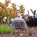 Kunststoff-Aquarium Moosfilter 5 cm Halbkugel Halter für Algen zur Dekoration des Aquariums Wasserreinigung Filtration und Zucht von Meeresalgen 5