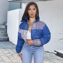 Kurze Damen-Übergangsjacke P1677 4