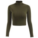 Kurzer Rollkragenpullover für Damen 8