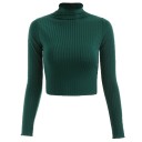 Kurzer Rollkragenpullover für Damen 9