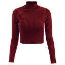 Kurzer Rollkragenpullover für Damen 6