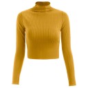 Kurzer Rollkragenpullover für Damen 10