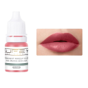 Kvalitets tatoveringsblæk til permanent makeup Farvet tatoveringsblæk Permanent makeup tatoveringsblæk 8 ml 3