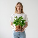 Kvetináče na sadenice 72 ks s táckami a štítkami, priehľadné, 4 veľkosti 8–15,5 cm, plast s drenážnymi otvormi, pre izbové aj záhradné rastliny 8