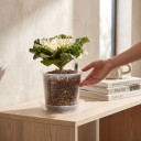 Kvetináče na sadenice 72 ks s táckami a štítkami, priehľadné, 4 veľkosti 8–15,5 cm, plast s drenážnymi otvormi, pre izbové aj záhradné rastliny 9