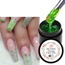 Květinový gel na nehty se sušenými lupínky 5 ml flower fairy gel pro UV LED nail art s květinovým designem a aplikací pod top lak 8
