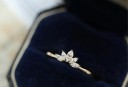 Kvinders ringkrone D948 3