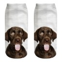 Ladies' Ankle Socks with Dog A667 3