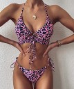 Ladies' Bikini P230 2