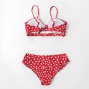 Ladies' Bikini P644 4