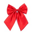 Ladies' Bow Tie J3201 2
