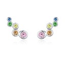 Ladies' Claw Earrings with Stones R58 2
