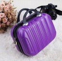 Ladies' Cosmetic Case T508 4
