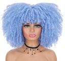 Ladies Curly Wig N899 15