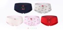 Ladies' Cute Panties - 5 Pack 7