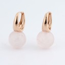 Ladies' Drop Earrings G1497 6
