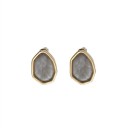 Ladies' Drop Earrings G745 2