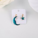 Ladies' Drop Earrings H752 13