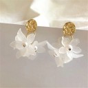 Ladies' Drop Earrings H812 16