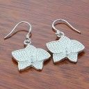 Ladies' Drop Earrings R72 26