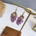 Ladies' Drop Earrings Wine 11