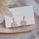 Ladies' Drop Earrings with Zirconia G194 5