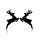 Ladies' Earrings C1069 8