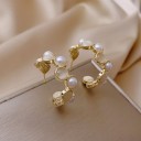 Ladies' Earrings G1010 13