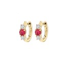 Ladies' Earrings G1519 2